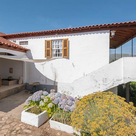 Quinta Do Acipreste Lamego Eksteriør billede