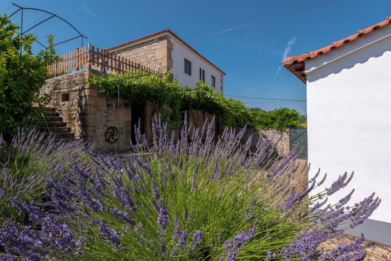 Quinta Do Acipreste Lamego Eksteriør billede
