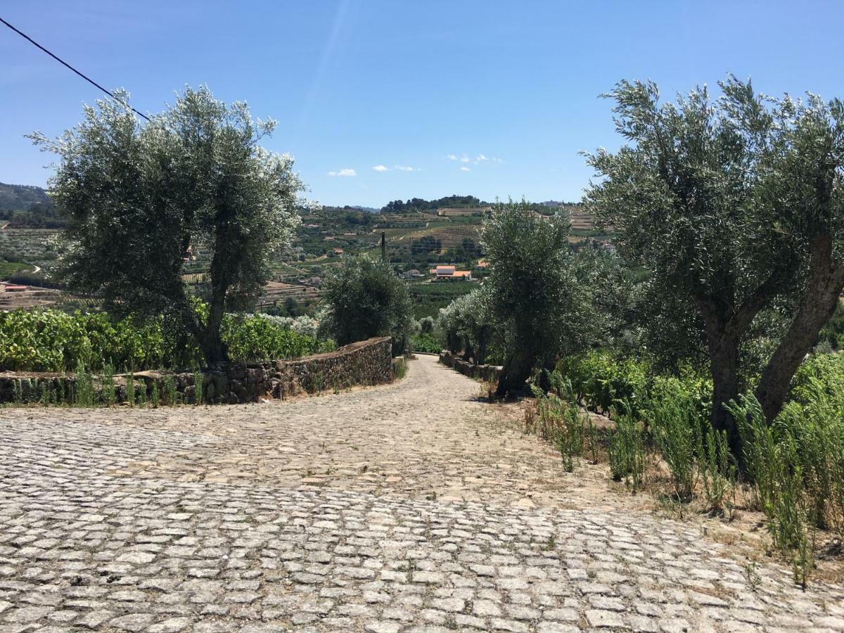 Quinta Do Acipreste Lamego Eksteriør billede