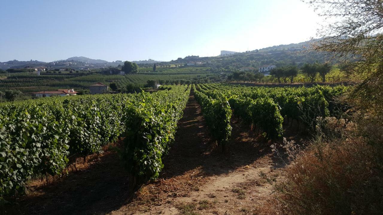 Quinta Do Acipreste Lamego Eksteriør billede