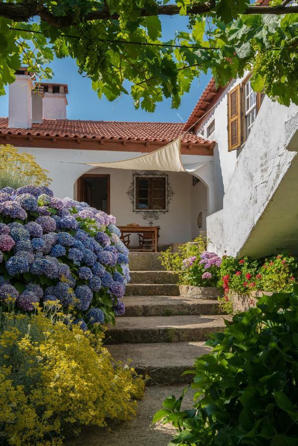Quinta Do Acipreste Lamego Eksteriør billede