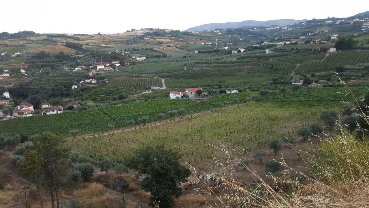 Quinta Do Acipreste Lamego Eksteriør billede